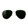 Carlson Raulen Sunglasses 