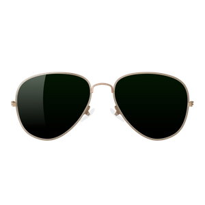 Carlson Raulen Sunglasses 